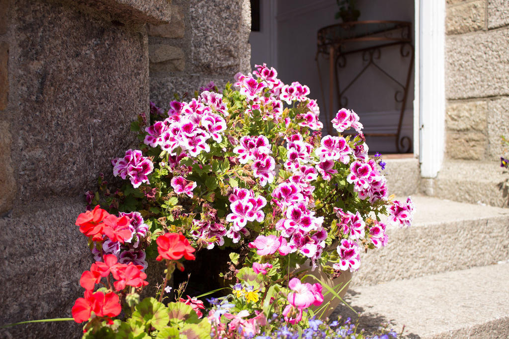 Glenleigh Bed And Breakfast Marazion Extérieur photo